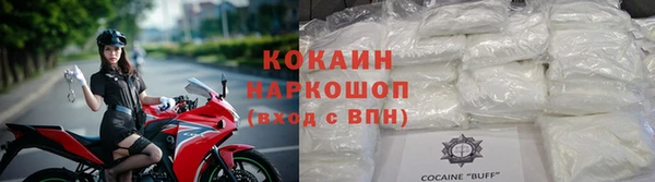 бошки Белокуриха