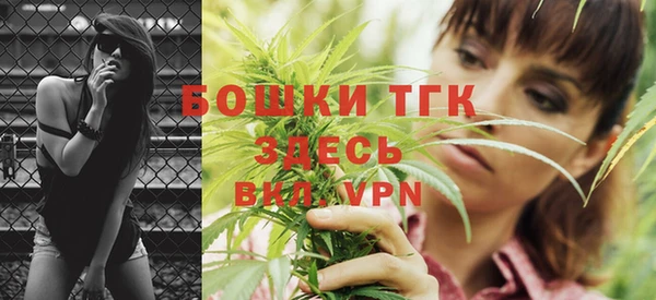 бошки Белокуриха