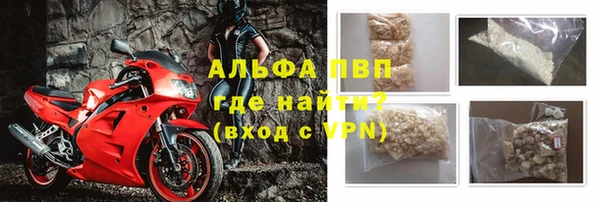 бошки Белокуриха